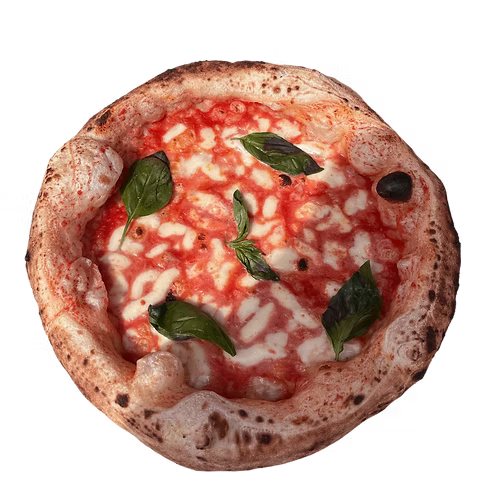 margherita